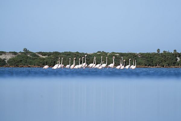 palavas11